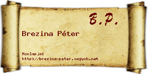 Brezina Péter névjegykártya