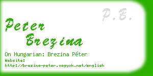 peter brezina business card